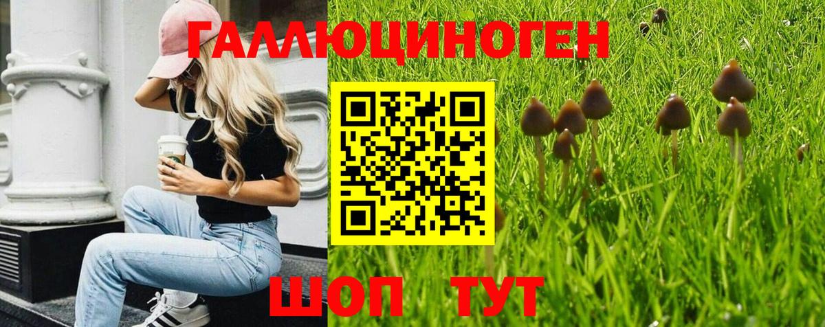 Галлюциногенные грибы ЛСД  Вход с VPN  наркошоп  Аша 